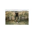 Enter the burial mound