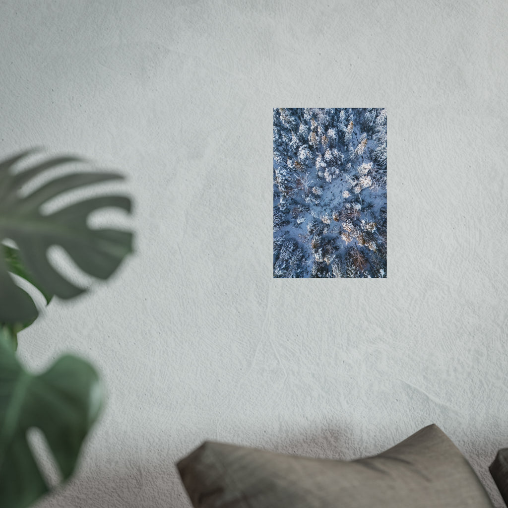 Frozen