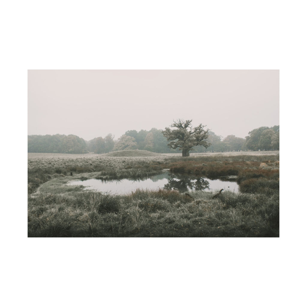 002 Heilung - The Oak and Burialmound