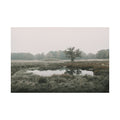 002 Heilung - The Oak and Burialmound