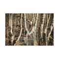 001 Heilung - Maria Franz poster.
