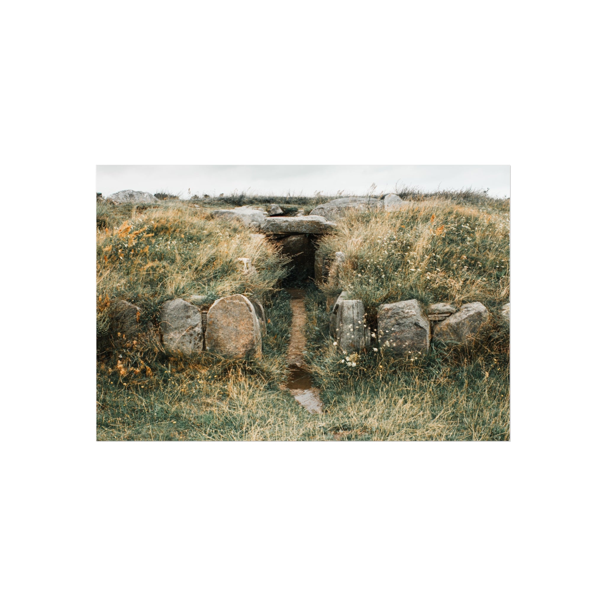 Enter the burial mound