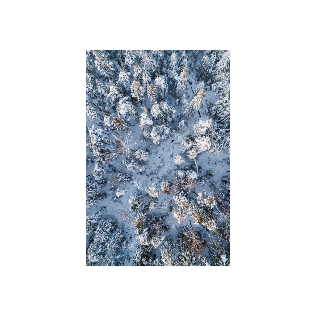 Frozen