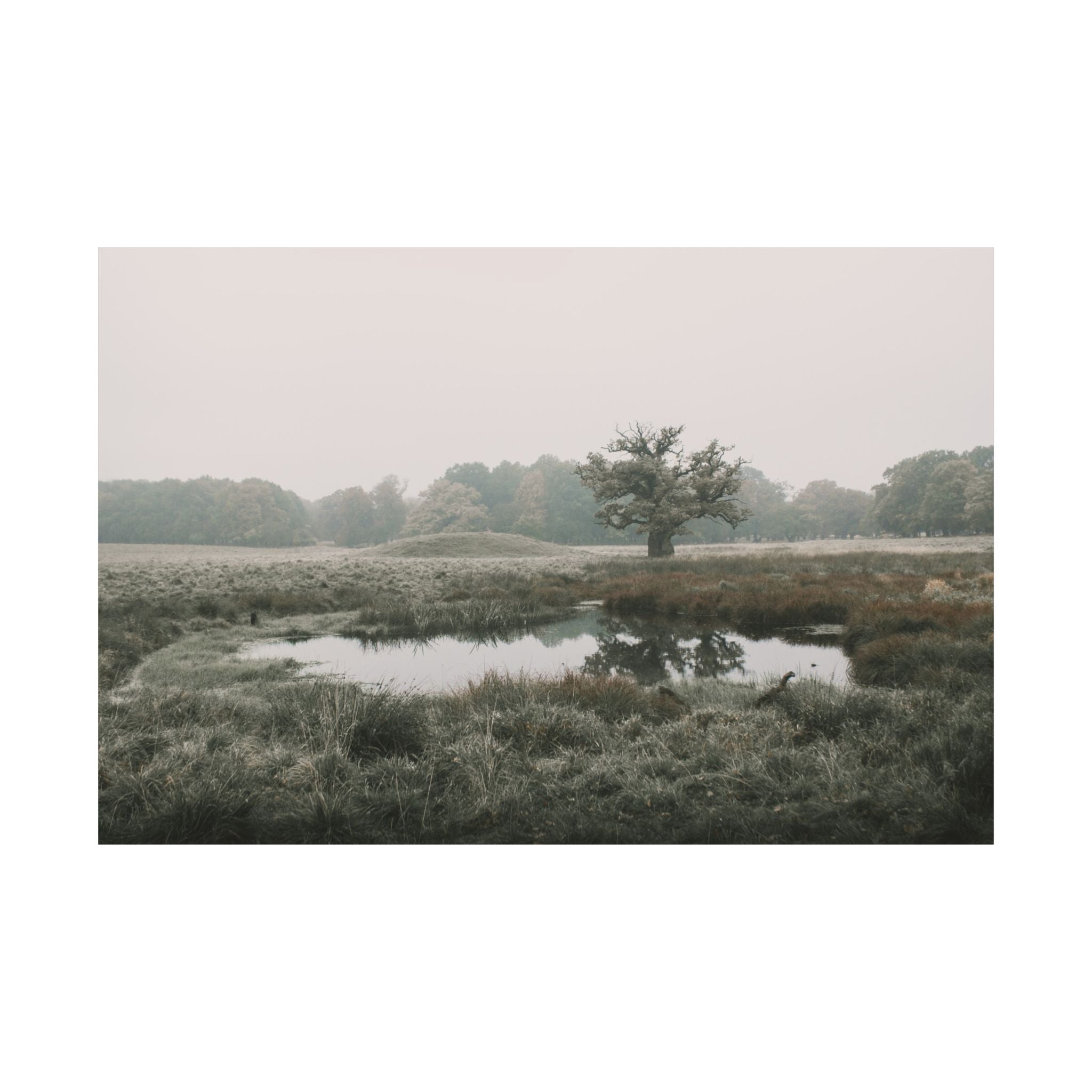 002 Heilung - The Oak and Burialmound