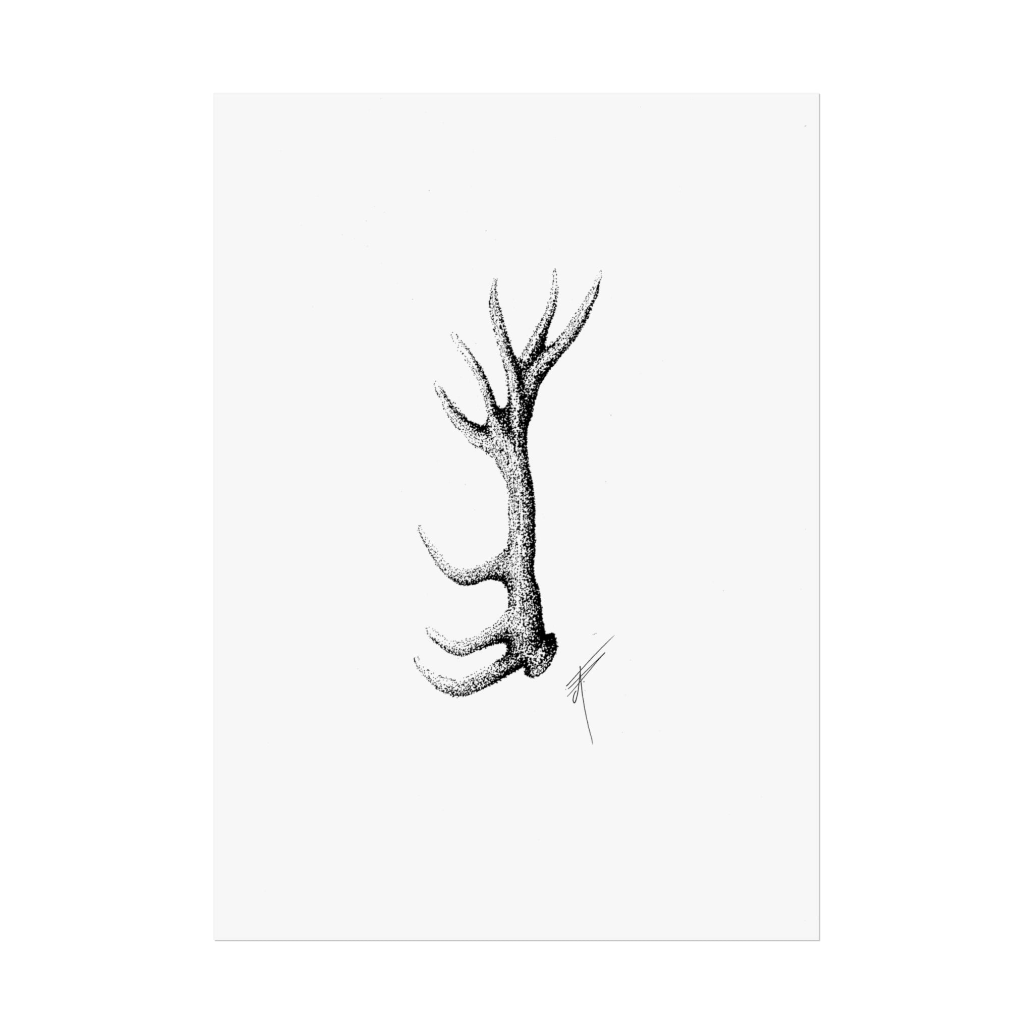 Fine Art Posters